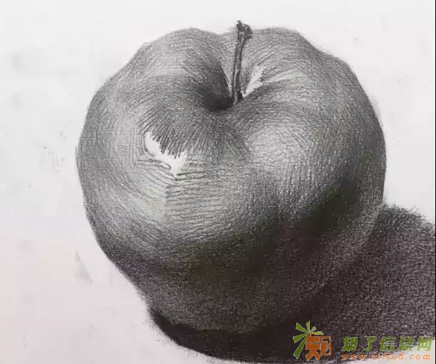 西安华艺美术培训宝宝再也不怕静物组合了