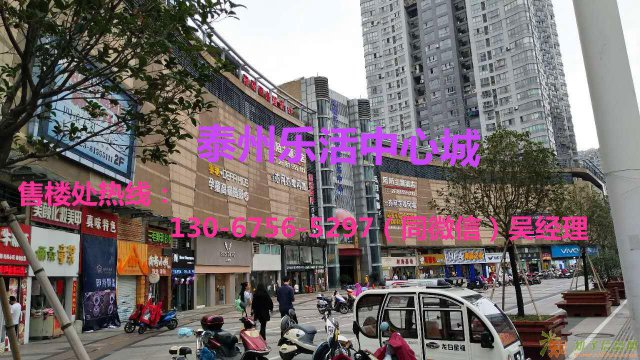 江苏泰州乐活中心城限量旺铺火爆发售