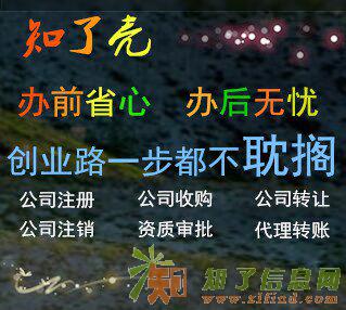 北京市朝阳代办公司注册