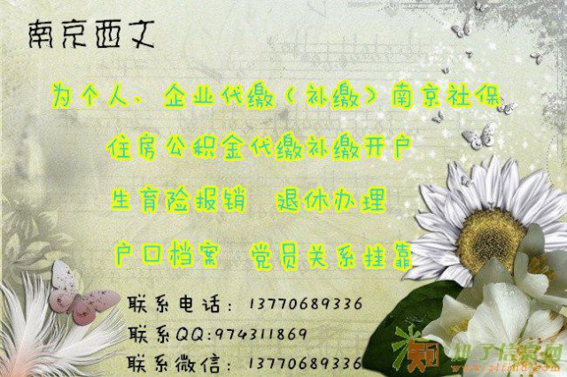 专业人事代理 社保公积金代补缴 户口档案挂靠
