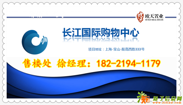 上海宝山长江国际购物中心 一铺养三代