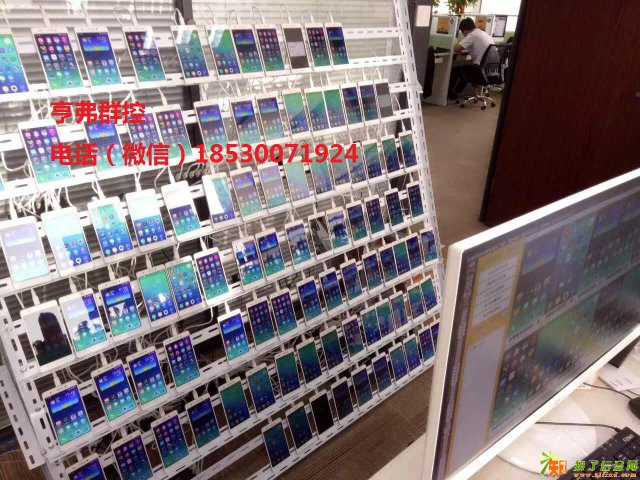 洛阳淘客用群控系统的多吗？