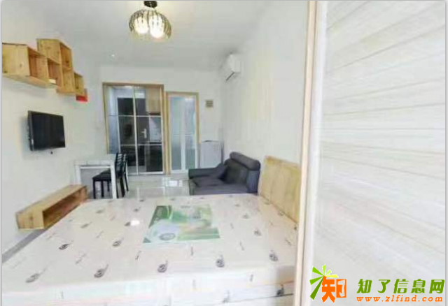 盛大花园住宅区 1室1厅1卫