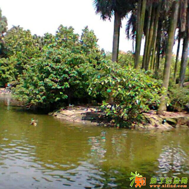 关注我们的居家环境