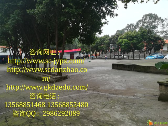 如何应对单招面试？