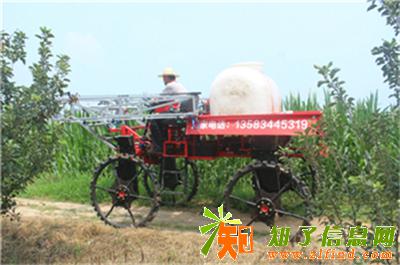 多功能棉花打药机王文四轮打药机网