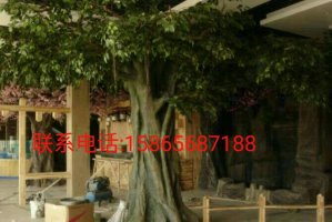 南通假树造景 南通室内假树景观 南通室内假树绿化