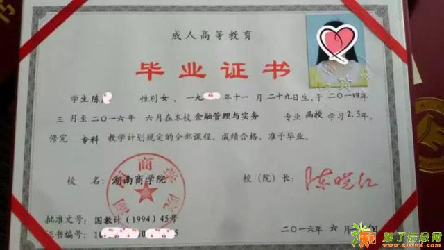 学历提升（成考、自考、网络教育）