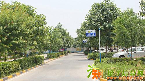 金秋十月西安宇星驾校招生了