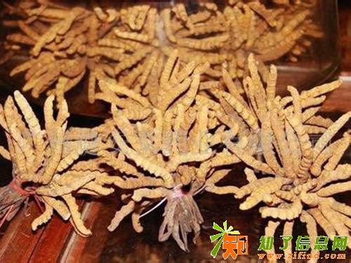 回收燕窝回收鲍鱼收购各种海参收瑶柱不限量收购冬虫夏