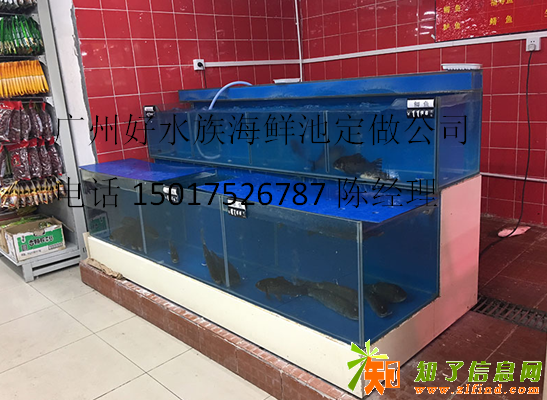 广州海鲜池定制|广州定做水产店海鲜池