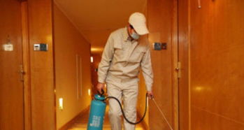 最平价番禺防鼠灭鼠专家白蚁防治除四害消杀服务公司