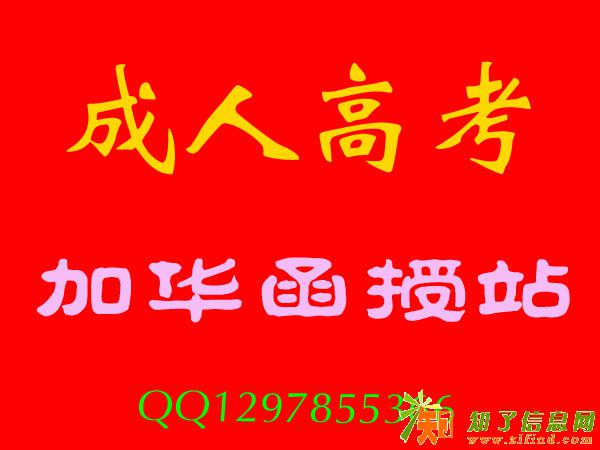 远程网络教育自考成考网教电大