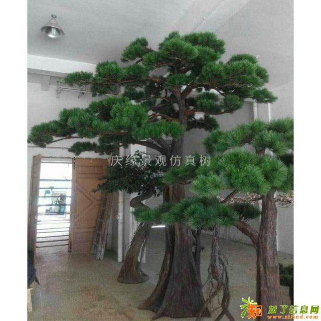 仿真松树小盆景 仿真松树枝松针