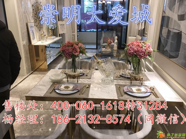 崇明大爱城售楼财富热线