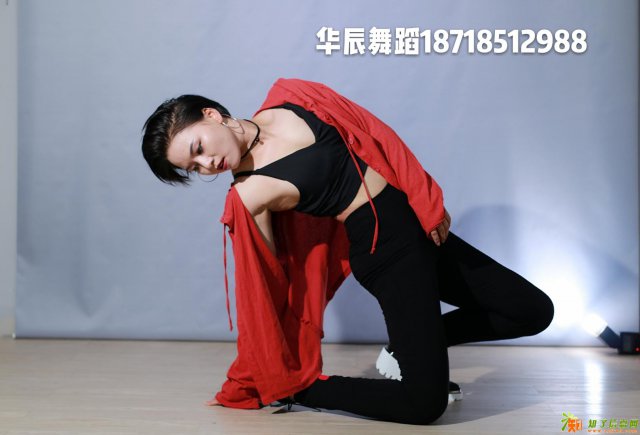 深圳排一支年会舞蹈多少钱，学一支舞蹈学费价格