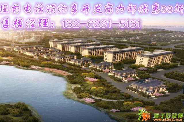 湖州长兴《东湖金悦》清晨起床白鹭为伴