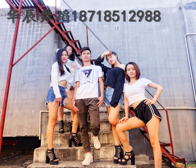 深圳碧海湾成人舞蹈培训班，深圳成人舞蹈培训电话号码