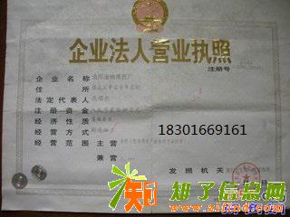 专业0元公司注册可提供注册地址一证五章一条龙服务