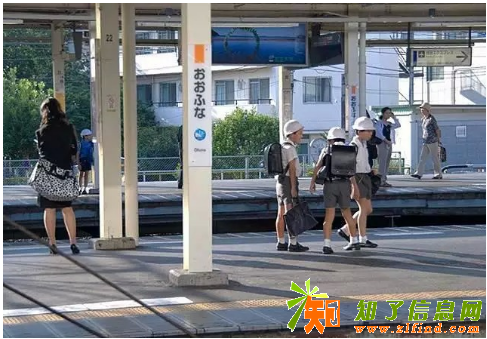 日本永驻许可申请绿卡-留日指南