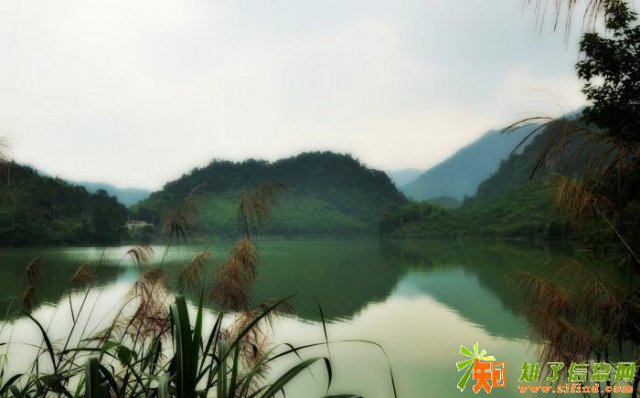 从化果园采摘、溪头村、幽谷探秘、野炊农家乐二天游