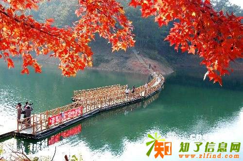 赣州上犹陡水湖森林小火车京明度假村休闲汽车三日游