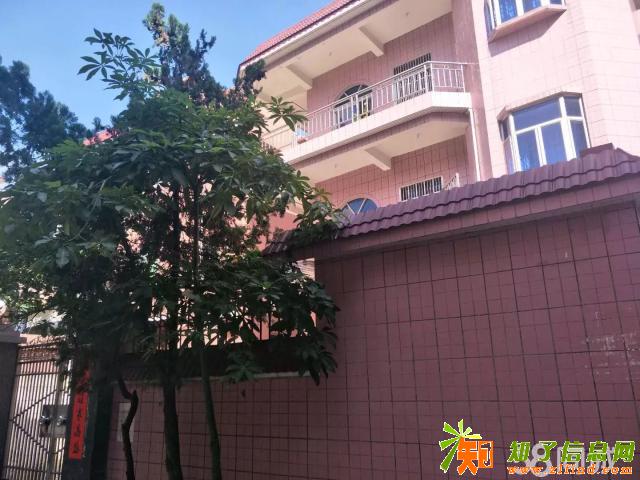 沙井3层小洋楼整栋8房5600租