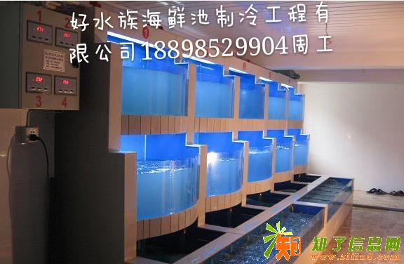 公司经营范围：超市海鲜池、酒店海鲜池，海鲜池制作