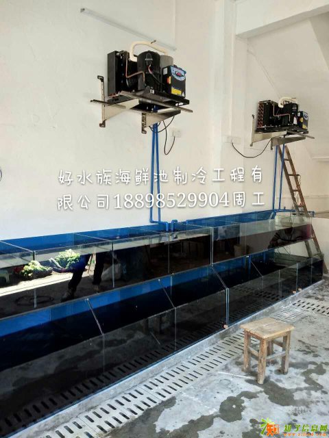 广州较专业制作海鲜池公司,酒店海鲜池,超市鱼缸