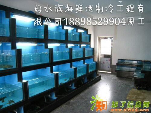 广州酒店厨房海鲜池订做,海鲜鱼池过滤系统设计制冷