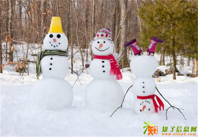 漠河-北极村-圣诞村-北红村冬季3天2晚全景游