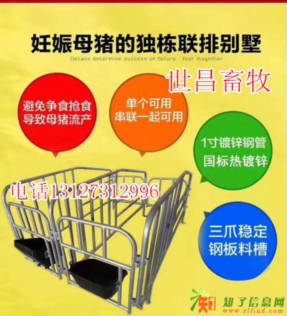 世昌畜牧新型母猪定位栏新品上市