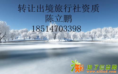 如何使用典当行来进行资本运作