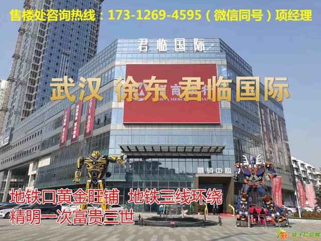 爆料：武昌华康君临国际11月5日火爆面世，开始抢铺