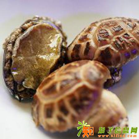 花小妖海鲜浓汁海参