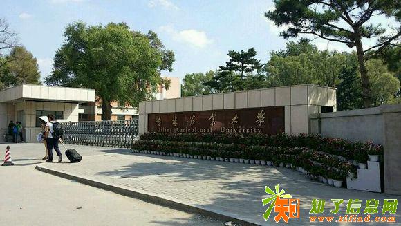 2018年吉林农业大学成人高考招生简章