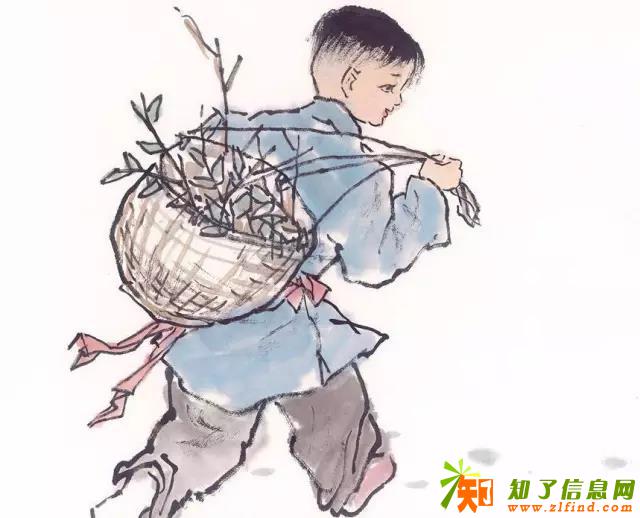 深圳冬令营：你不让孩子吃苦，这个世界会让他很苦