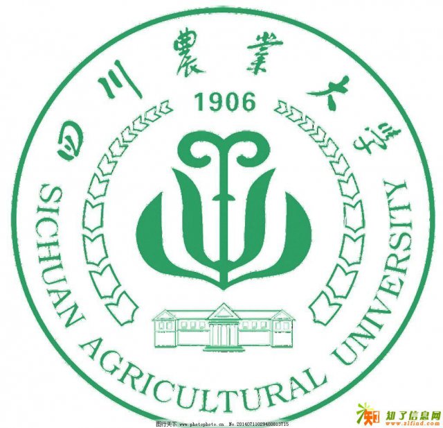 青白江有哪些成人学校可以拿文凭？