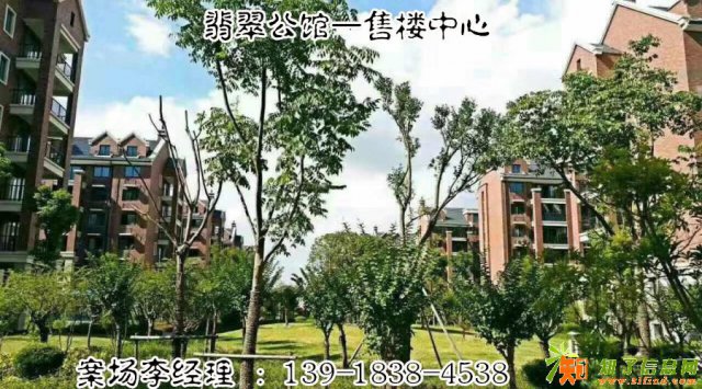 嘉善翡翠公馆怎么样？户型、价钱、周边生活设施