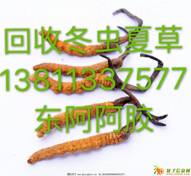 回收冬虫夏草东阿阿胶同仁堂海参燕窝片仔癀