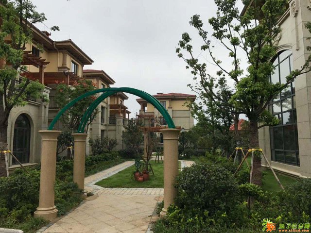 竹博园旁不到300万的奢华欧式别墅，内部房源！