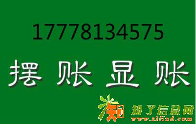 北京市 自有资金专业办理企业大额验资摆账显资亮资