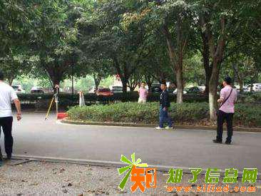 四川大学的网络继续教育怎么样