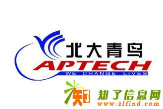 武汉北大青鸟 建校13年 专业培养IT精英