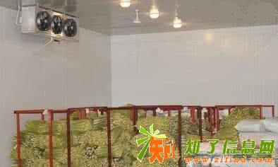 上海专业二手冷库回收公司、工业冷库回收