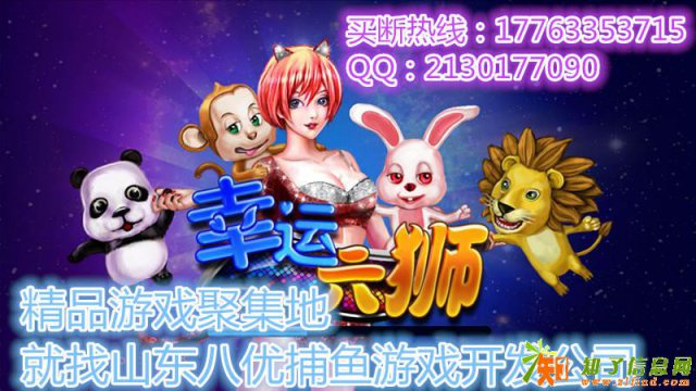 专业私人订制游戏平台选择山东华软