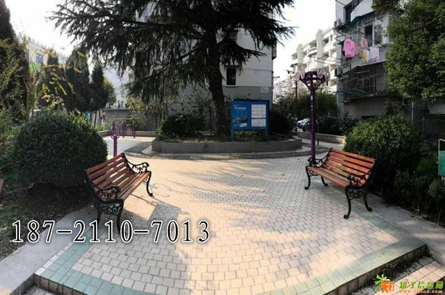 上海静安泉灵小区：晒晒太阳，逗逗鸟！