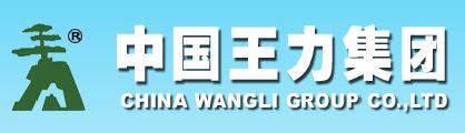 郑州王力防盗门销售售后电话，王力超B,C级锁芯