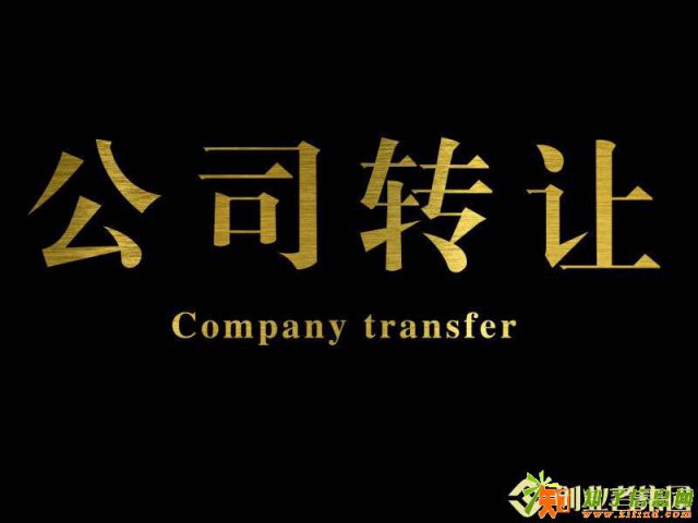 转让北京市无区域名称的控股公司执照