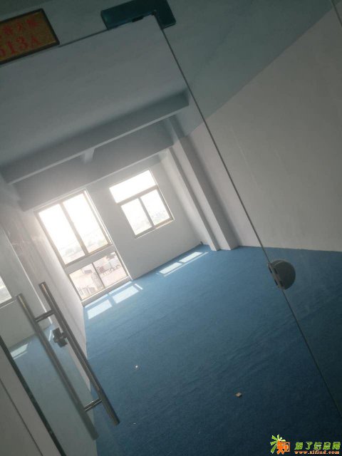 全新写字楼，30元出租，88平方240平方